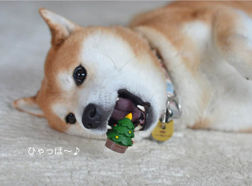 1a23日ブログ2.jpg