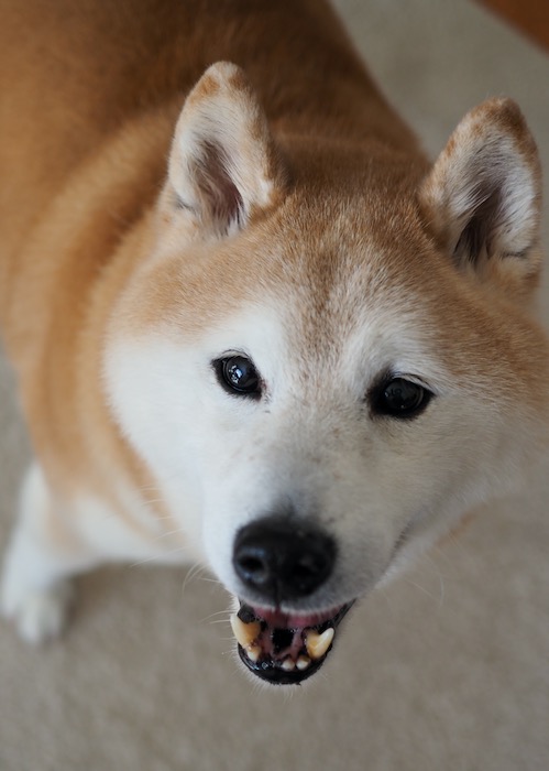 9日ブログ２