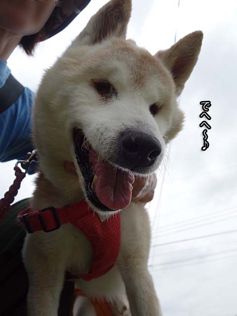 27日ブログ4