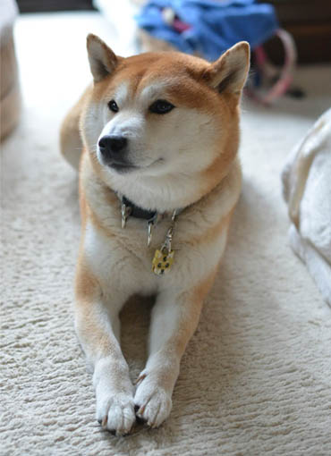 29日ブログ8.jpg