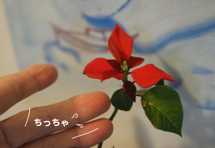 19日夕ブログ２
