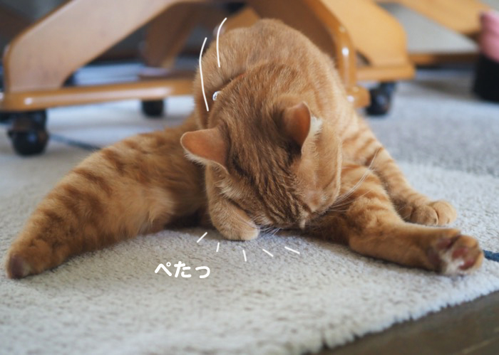 3日夕ブログ3