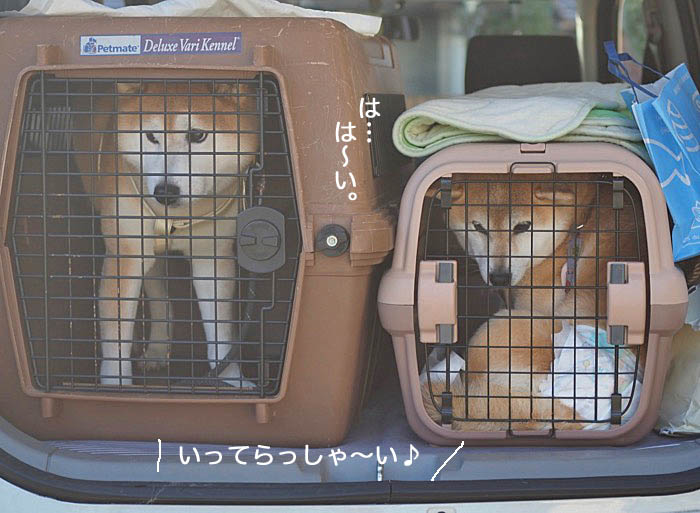 30日ブログ１０