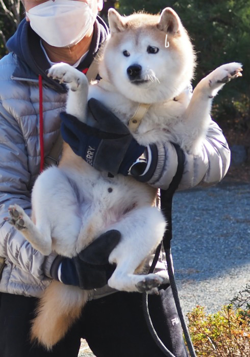 10日夕ブログ９