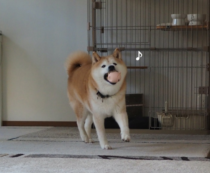 24日夕ブログ２