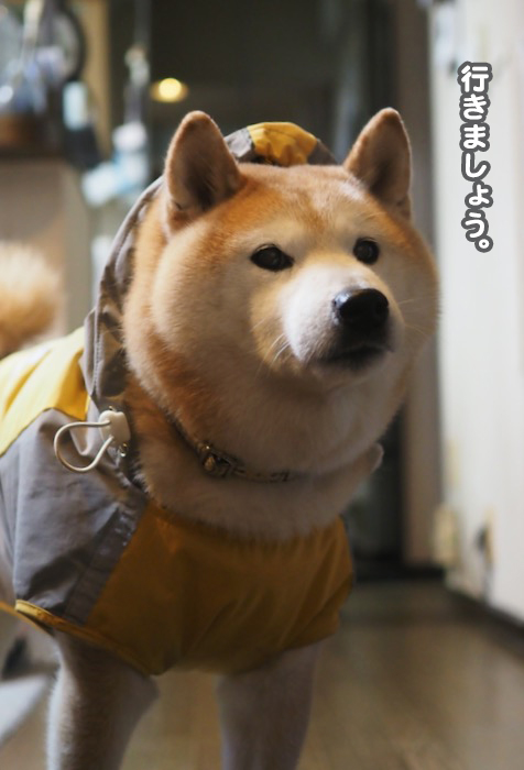 21日ブログ２