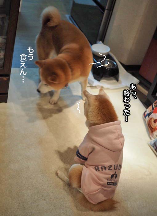 17日夜ブログ６
