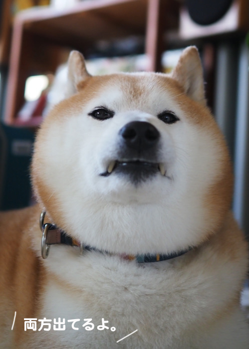 11日午前ブログ４