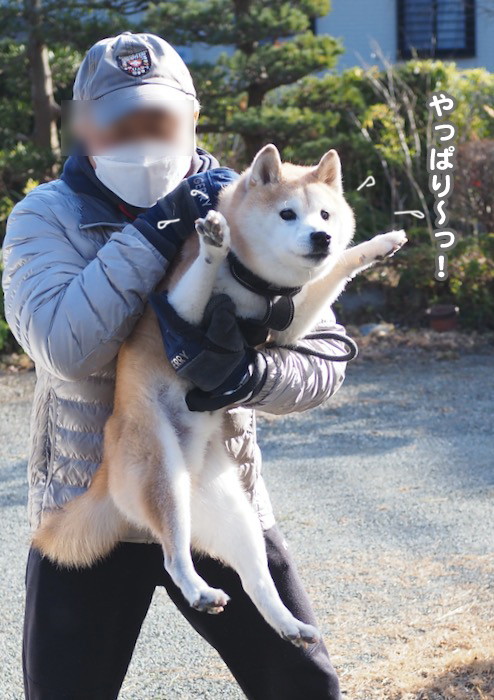 23日夕ブログ６