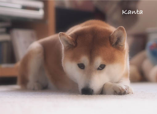 20日ブログ2.jpg