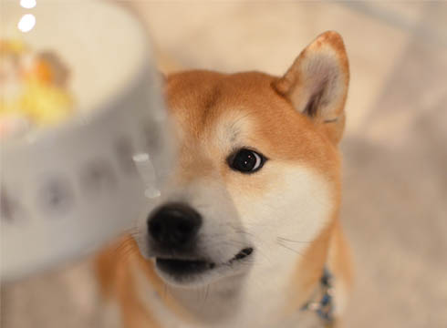 26日ブログ8.jpg