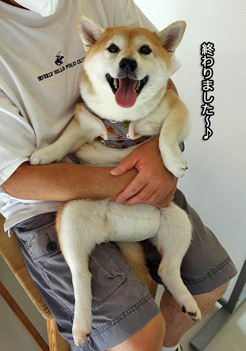 2日ブログ３