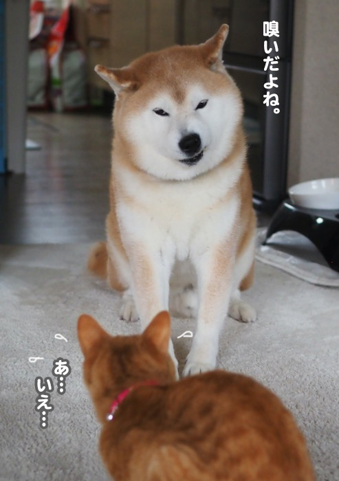 30日夕ブログ６