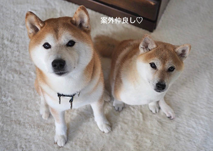 29日ブログ３