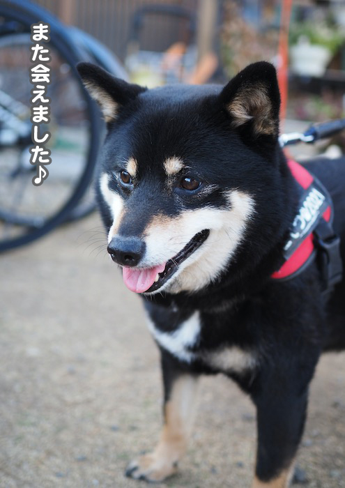 4日ブログ２