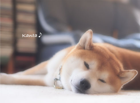26日ブログ３.jpg