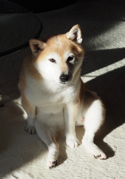 24日ブログ1