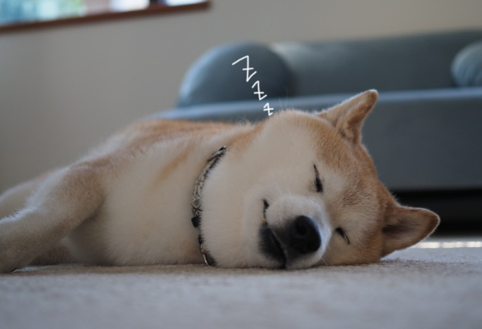 25日夕ブログ3