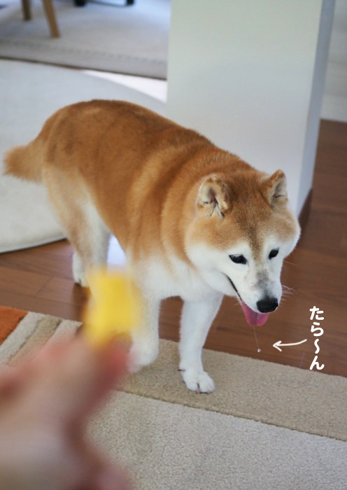 6日ブログ２