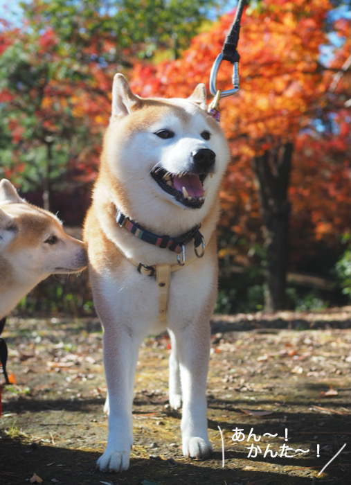 4日ブログ６