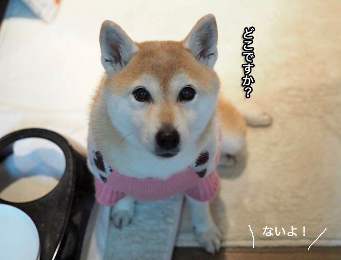 28日夜ブログ６