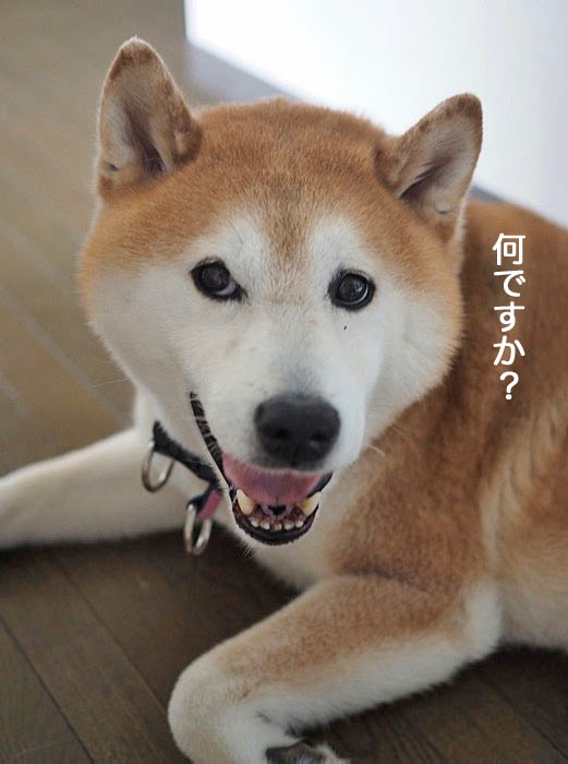 7日夜ブログ３