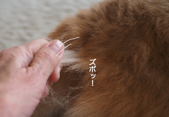 9日ブログ３