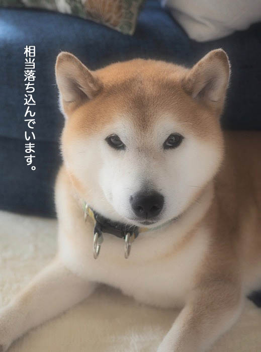 20日夜ブログ２