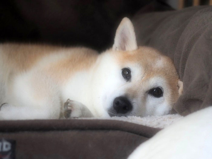 3日ブログ４