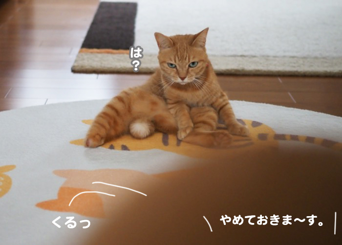 19日ブログ５