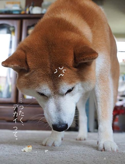20日ブログ２４