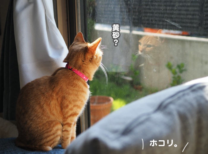 14日夕ブログ５