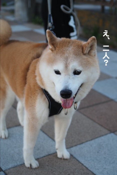 16日夕ブログ２