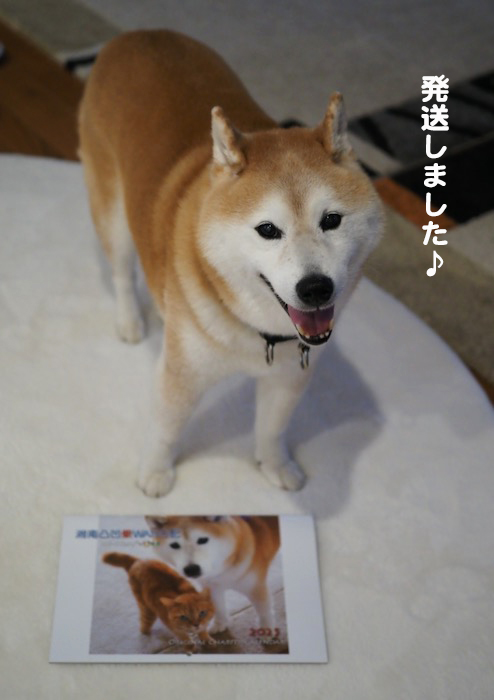 22日夕ブログ１３