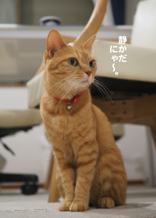2日ブログ5