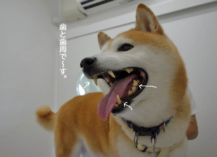17日夜ブログ５