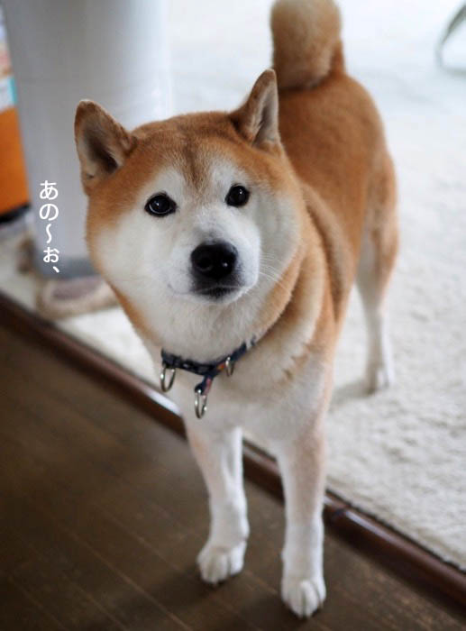 11日ブログ２