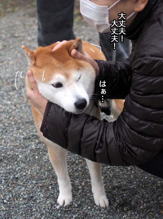 27日ブログ４
