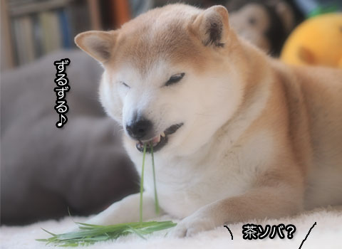 28日ブログ4.jpg