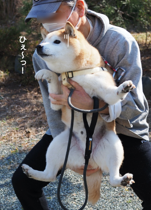9日夕ブログ６