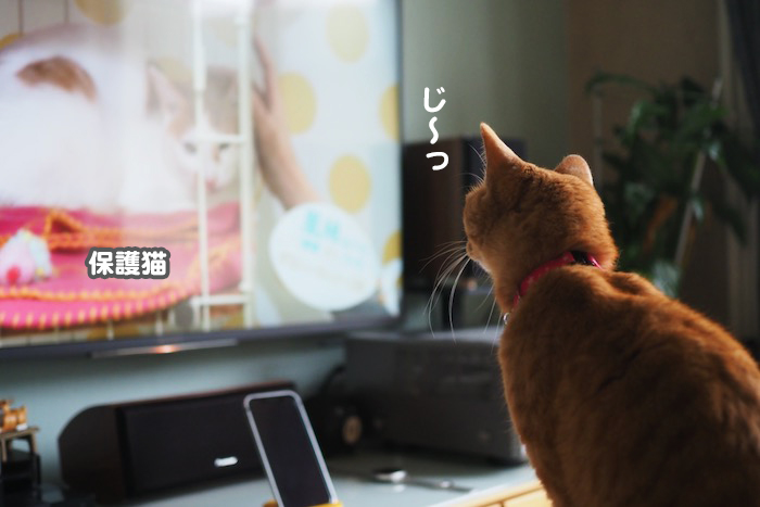 6日夕ブログ５