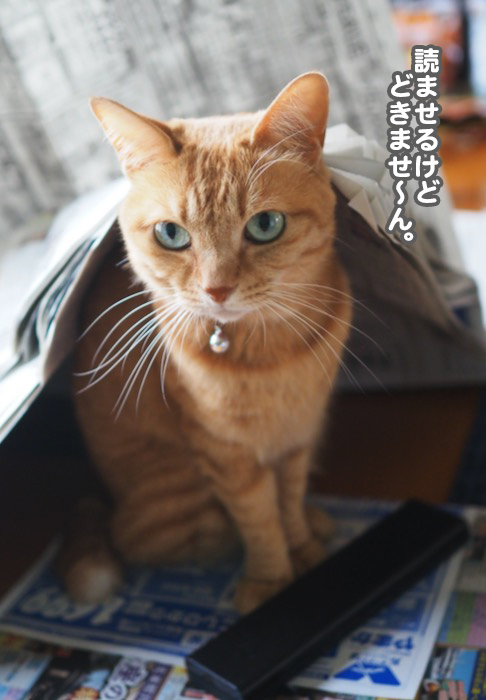 14日ブログ３