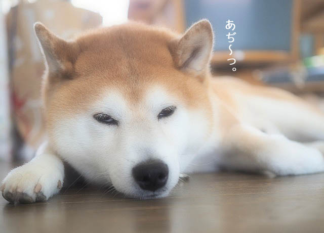 7日ブログ6