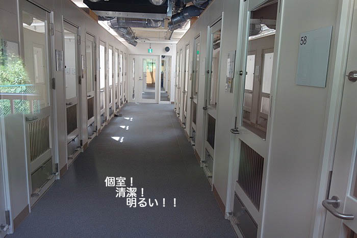 26日午後ブログ６