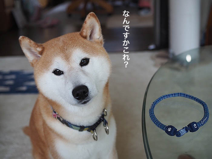 4日ブログ10