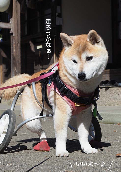 6日夜ブログ２