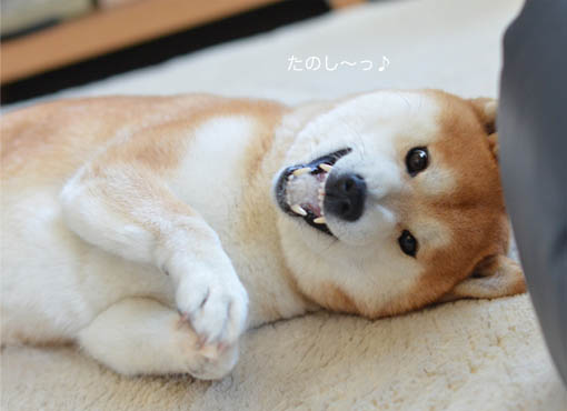 23日ブログ8.jpg