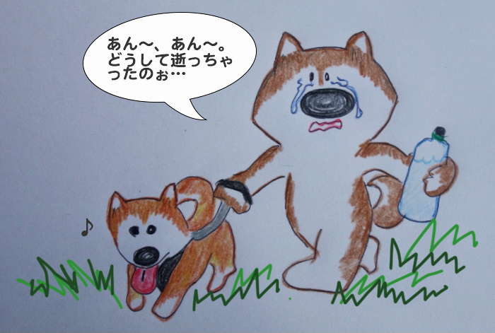 11日夕ブログ２
