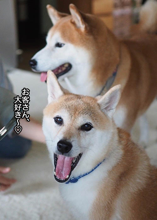 30日ブログ１０