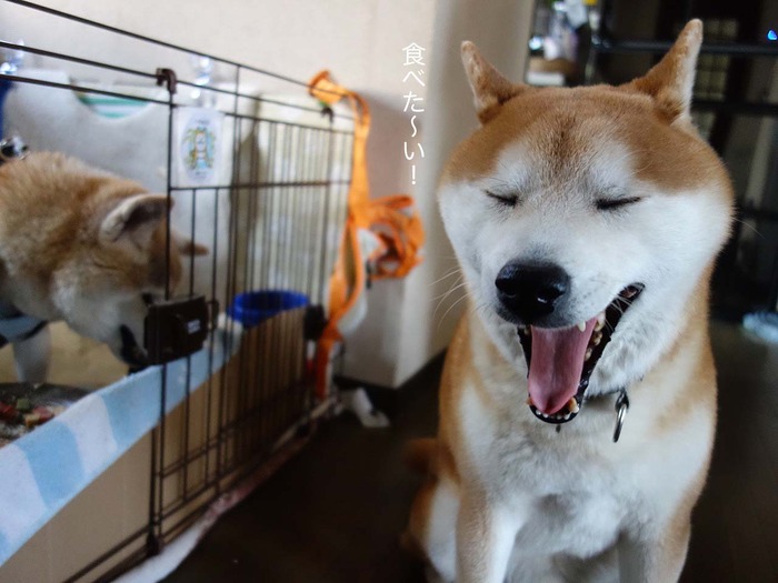 8日ブログ6